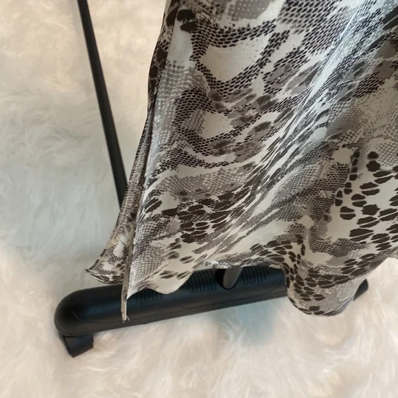 Express Dress - Picture 9 of 10